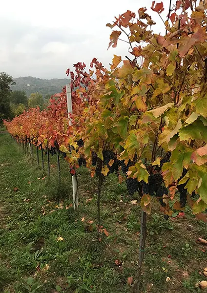 azienda-1
