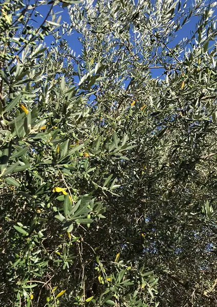 azienda-3