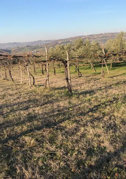 azienda-4