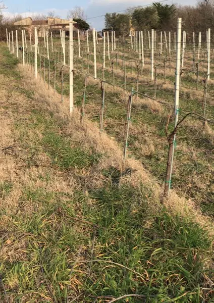 azienda-5