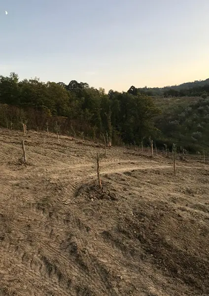 azienda-6