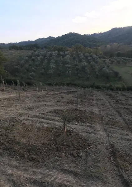 azienda-7