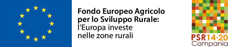 Azienda Agricola Marciano